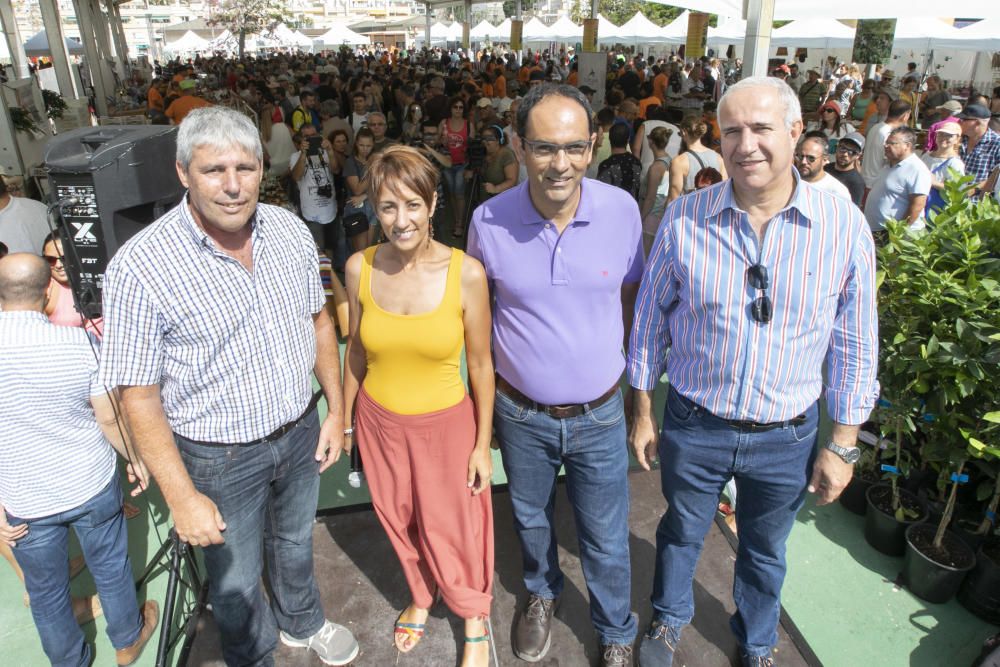 02.09.18. Mogán, Gran Canaria. Feria del Mango ...