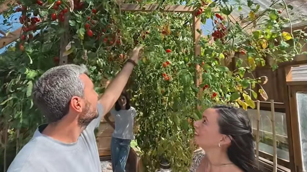 Además de la casa, la familia construyó un sistema de cama de lombrices, que sirve para transformar residuos orgánicos en un abono natural.
