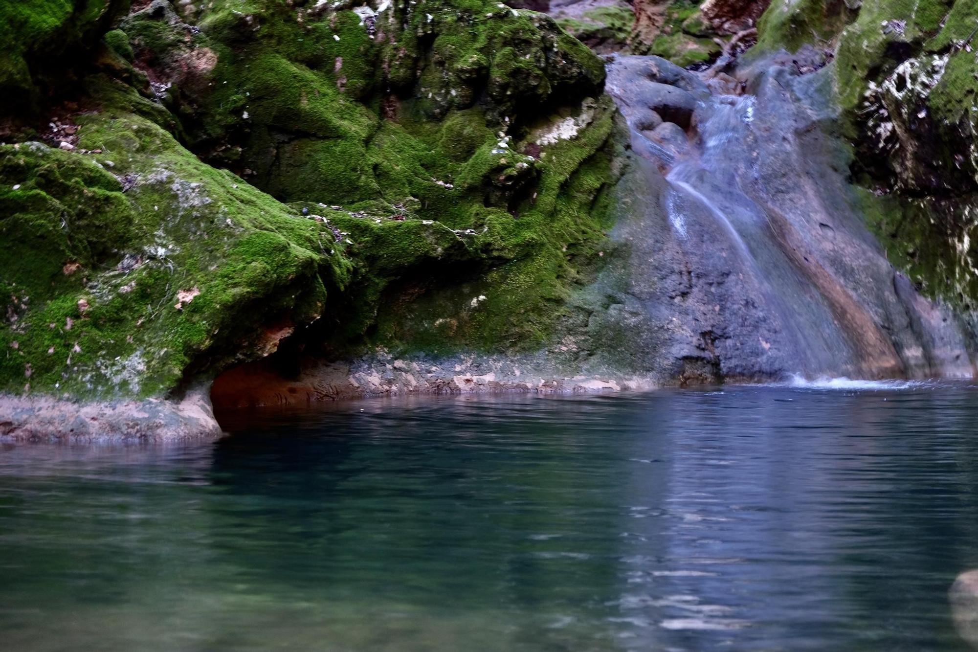 Las imágenes de la espectacular cascada del Salt del Freu