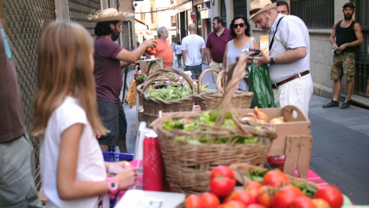 Nueva cita en Cáceres con el mercado de frutas y verduras en Moret