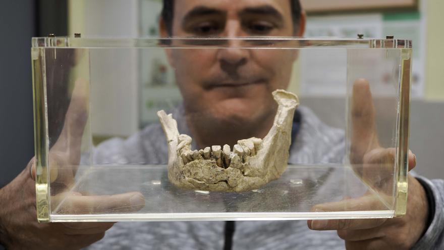 La mandíbula de Banyoles va pertànyer a l&#039;Homo sapiens més antic d&#039;Europa