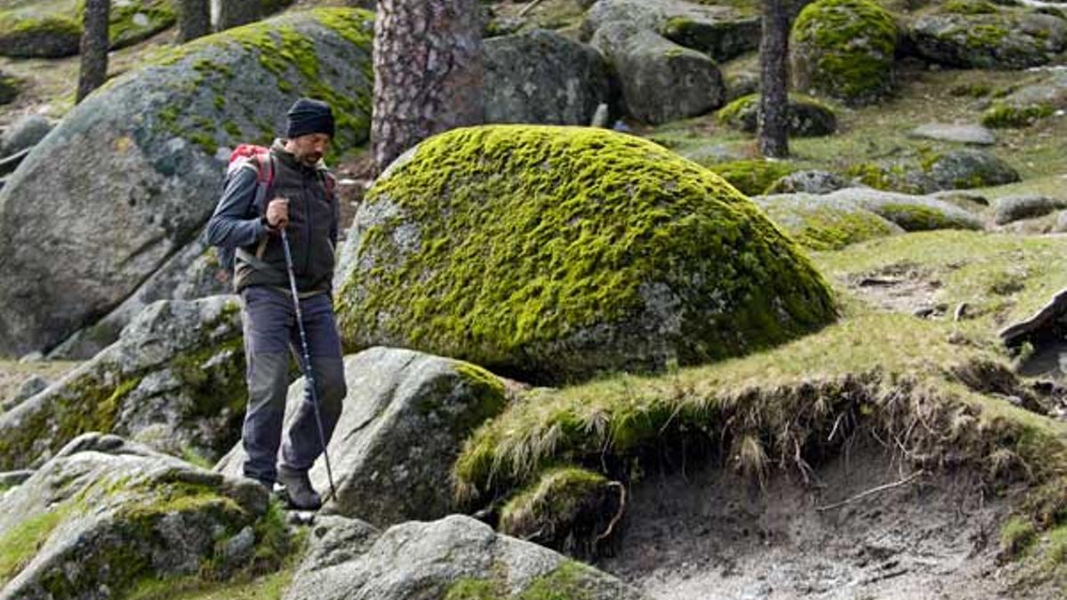 Caminar la naturaleza y la historia del Guadarrama