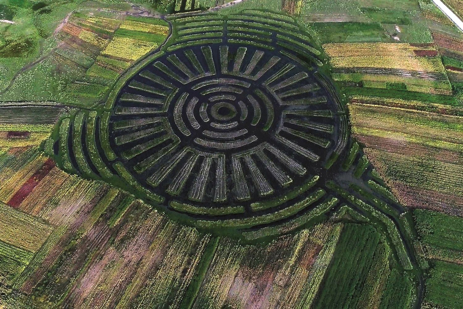 Campos agrícolas Waru Waru, Perú.