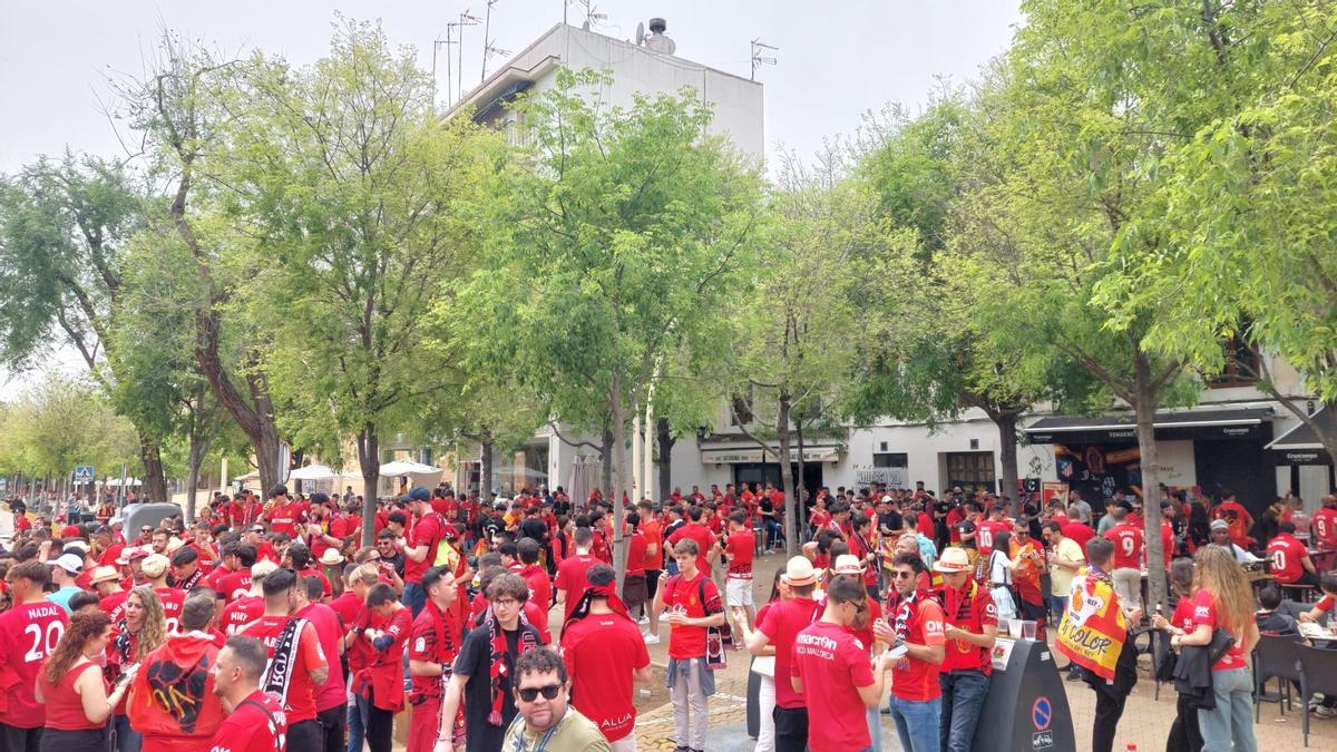 Las aficiones del Bilbao y del Mallorca han coincidido este sábado por la tarde en la Alameda de Hércules de Sevilla.