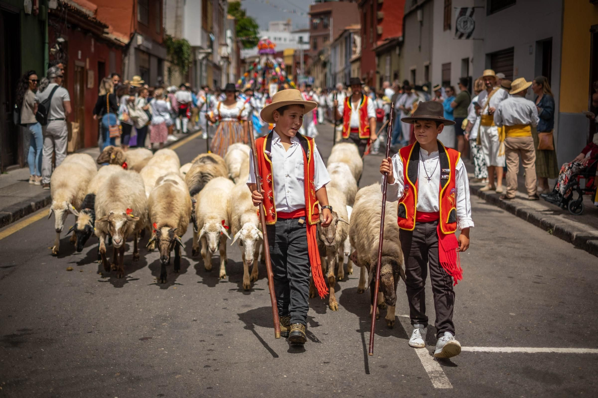 Romería de San Benito