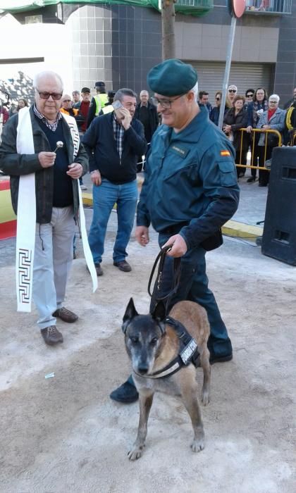 El servicio cinológico de la Guardia Civil participa en la celebración de San Antonio Abad en Manises