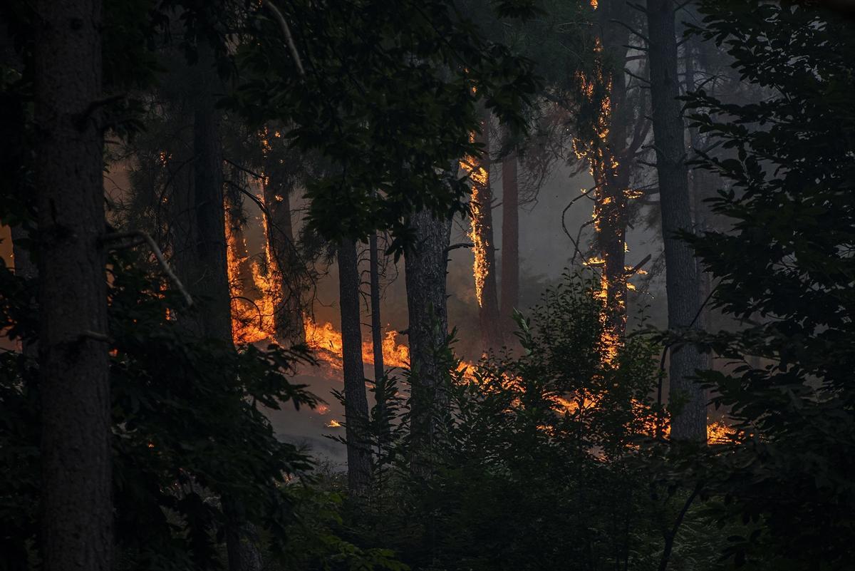 Vista del incendio cerca de la Charca de la Nieta, a 26 de julio de 2026, en Piedralaves, Ávila, Castilla y León (España)