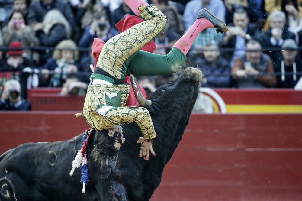 Espectacular cogida de Padilla en Valencia