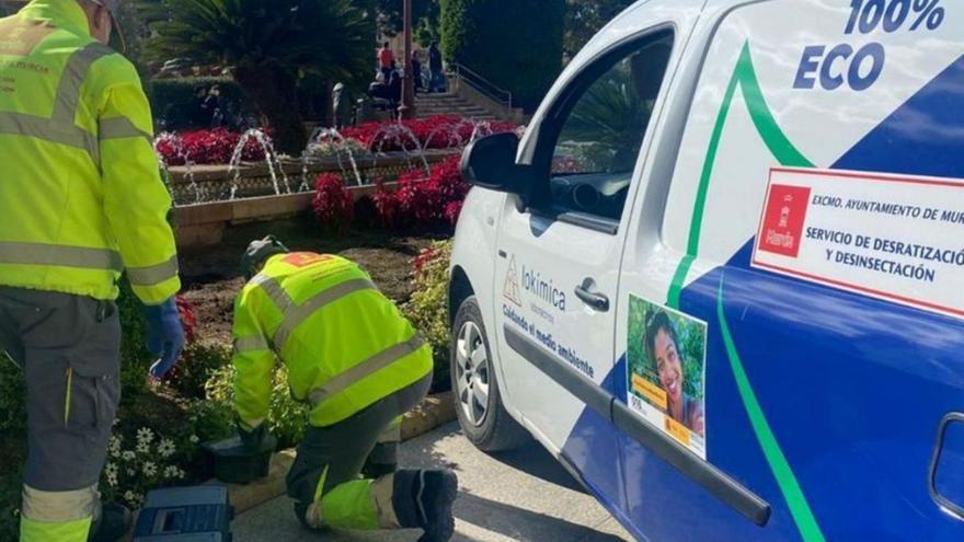 Los trabajadores de Lokímica revisan los parterres de la Glorieta.  | AYTO.MURCIA