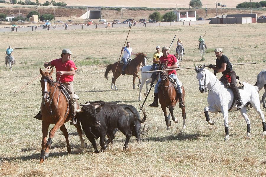 Fiestas en Zamora: Segudos espantes de Fuentesaúco