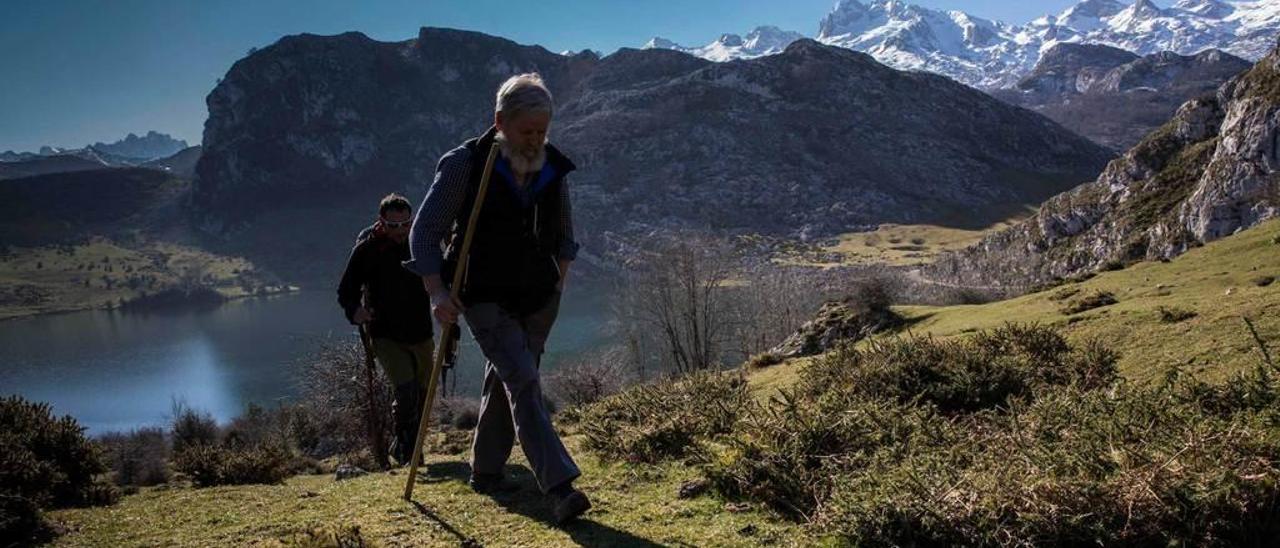 El quesero Juan Sobrecueva y su ayudante Rubén Calleja parten del lago Enol rumbo al collado de Les Veleres, en el parque nacional de los Picos de Europa.