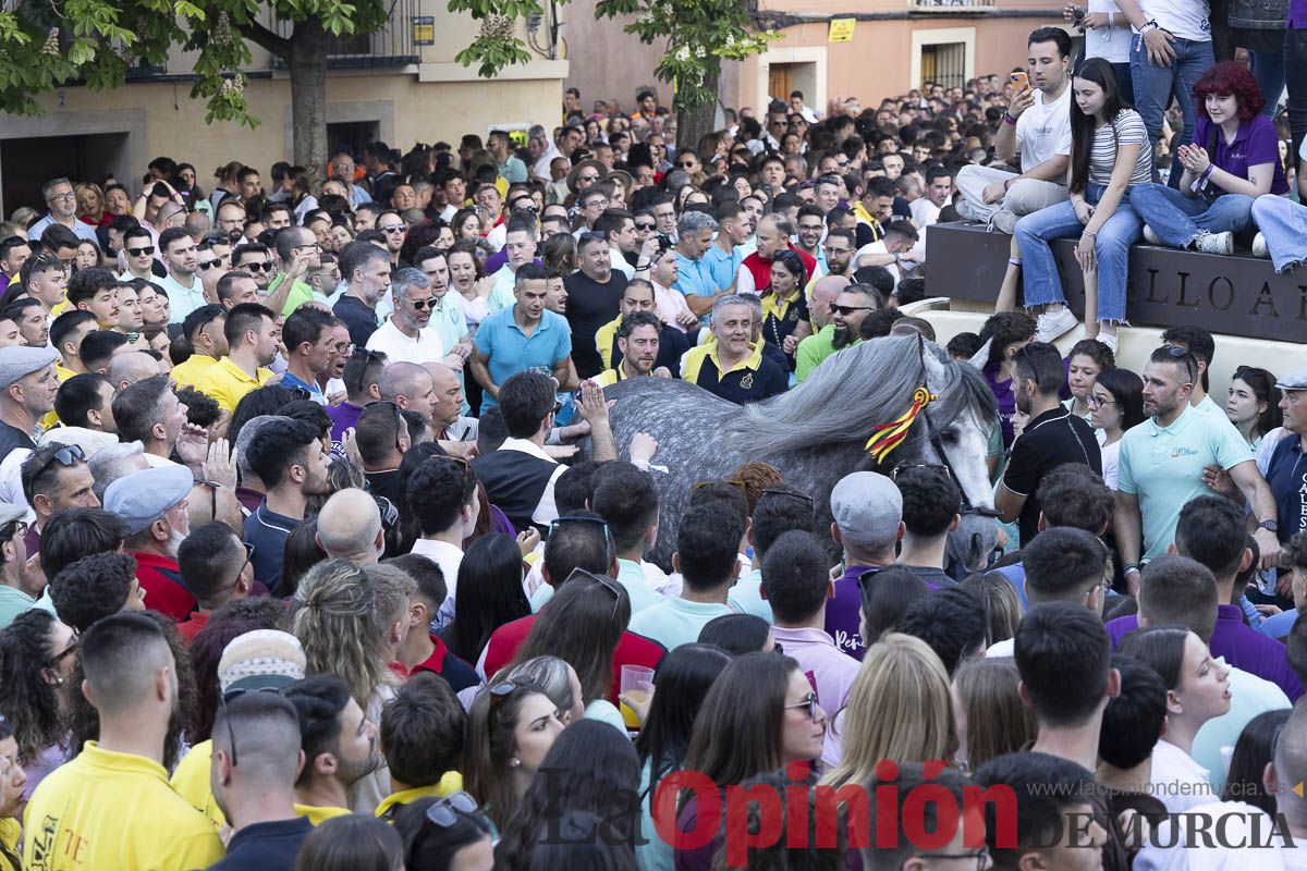 Fiestas de Caravaca | Entrega de premios del concurso morfológico