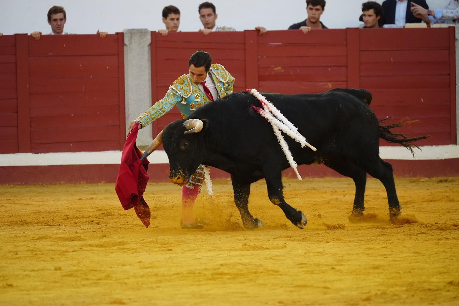 Quintana y De Gracia triunfan en Pozoblanco