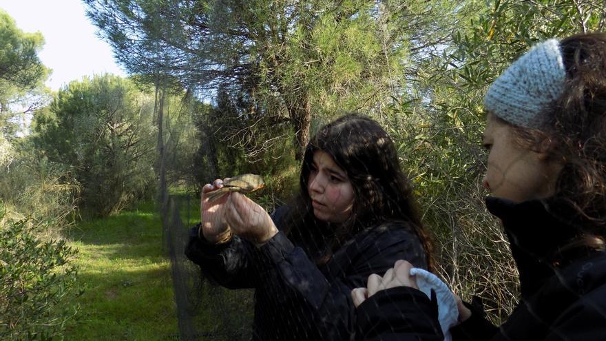 Más de 70 jóvenes se unen a través Pejcona para divulgar contenido científico