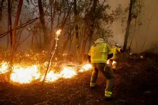 Incendio en Ponteareas