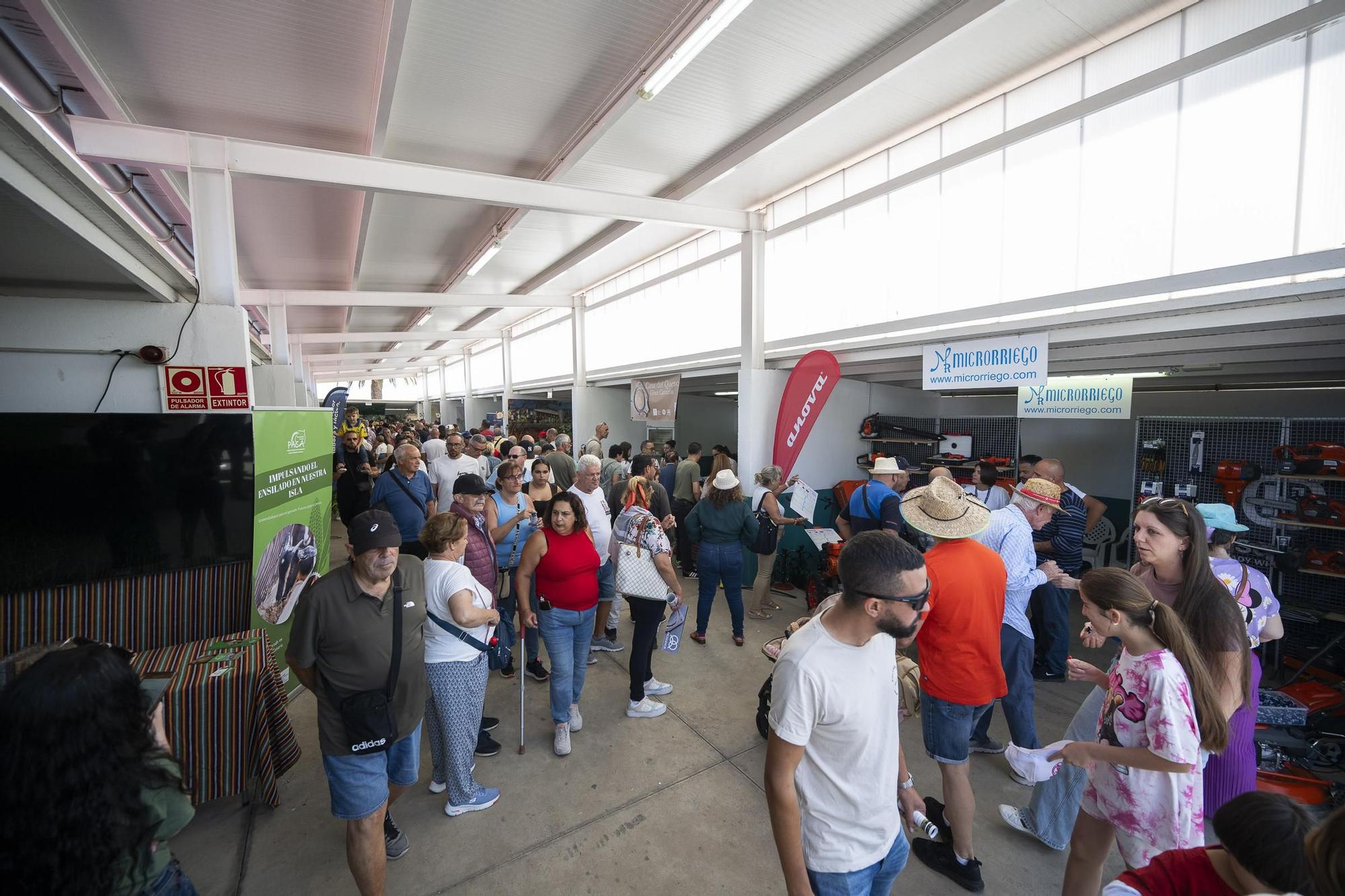 XXXII Edición del Concurso y Exposición de Ganado Selecto