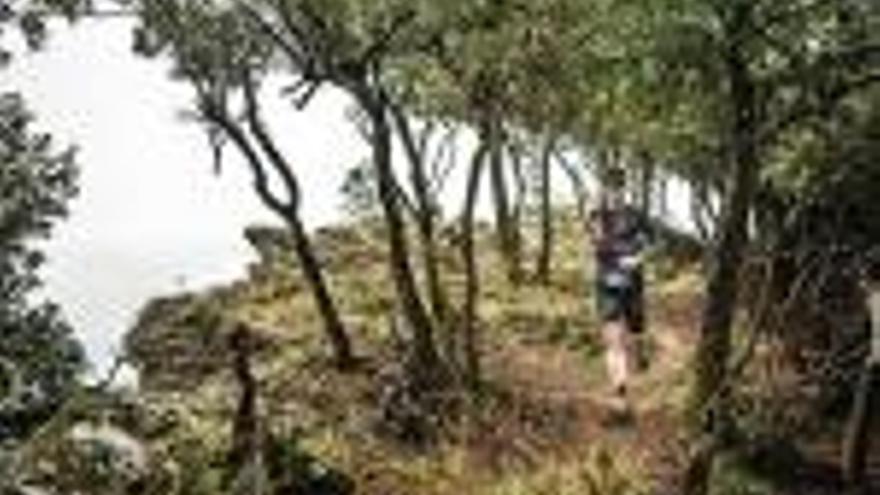 Ivan Camps i Paula Cabrerizo s&#039;imposen    en la Marathon de l&#039;exigent Trail Rocacorba