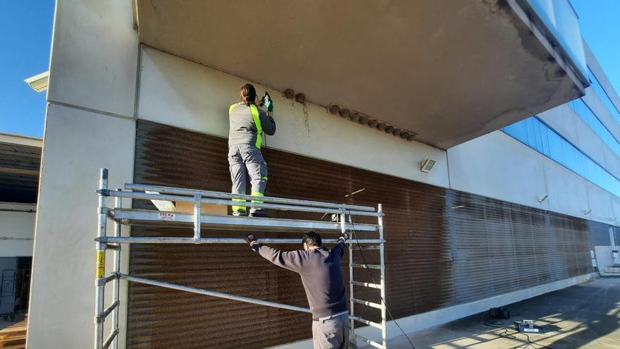 Torrevieja instala en el Hospital Universitario nidos de aviones para combatir los mosquitos