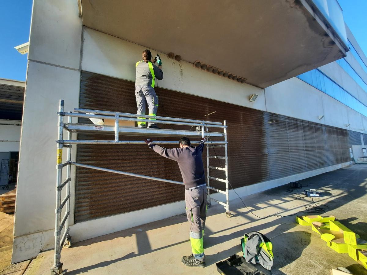 Instalacion de los nidales para aviones en el Hospital Universitario de Torrevieja