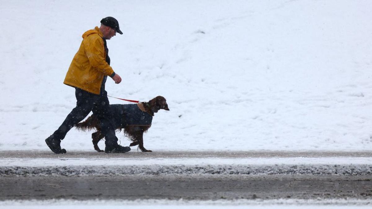 BRITAIN-CRUFTS/