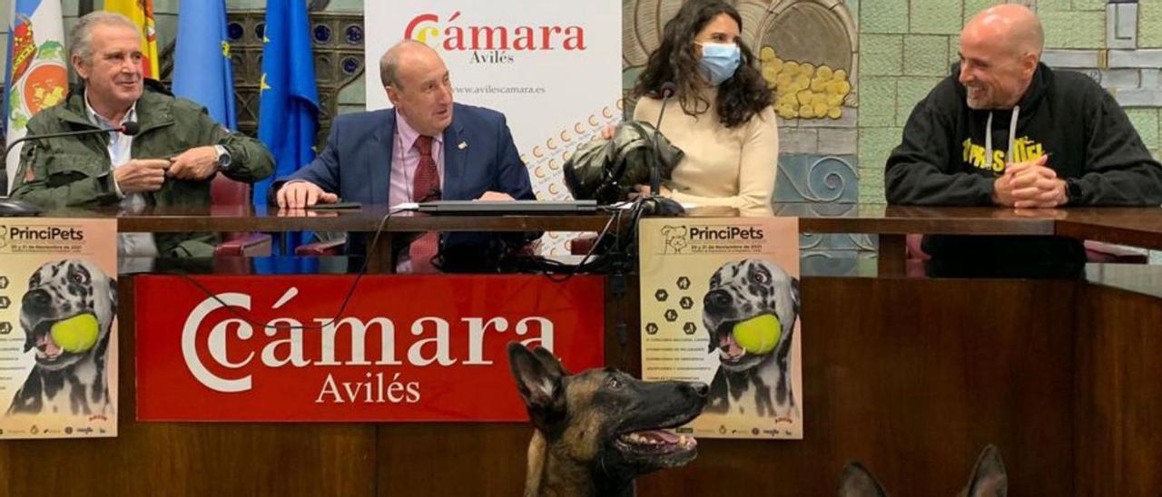 Por la izquierda, Ángel Lamar; Luis Esteban Alcalde; Tatiana Rodríguez, representante de Caja Rural, y Pedro Pablo Mesa. En primer término, “Jack”, ayer, durante la presentación de la feria.