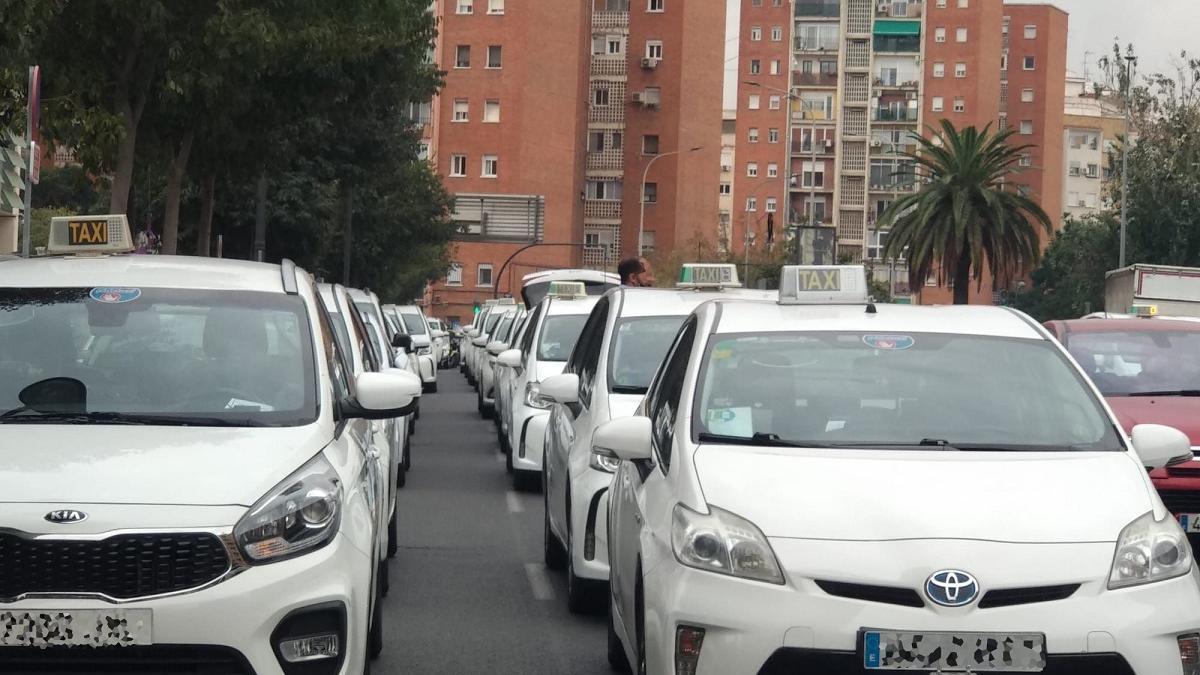 Los taxista piden ayudas y que los vehículos adaptados cumplan los descansos