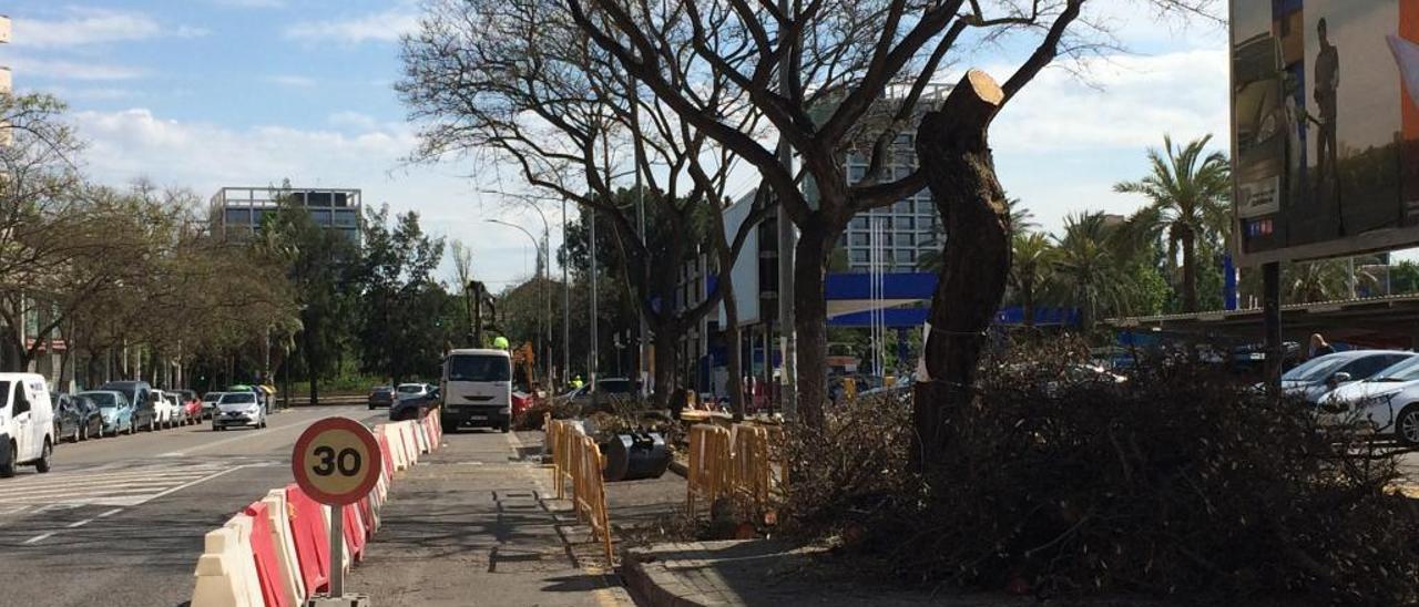 Un momento de la poda y tala de árboles de ayer en la calle Hernández Lázaro.