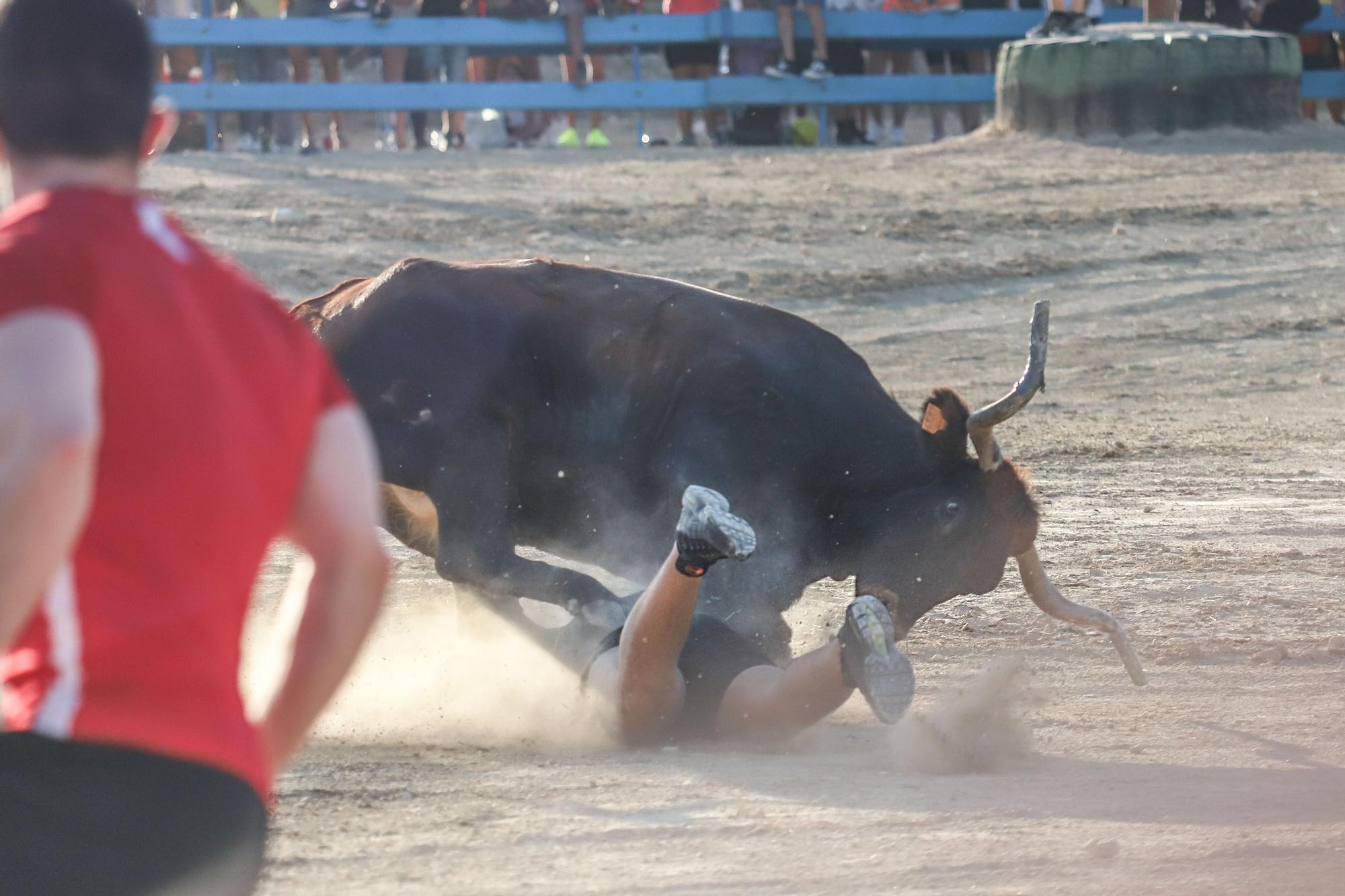 Suelta de Vaquillas en Pinoso 2023