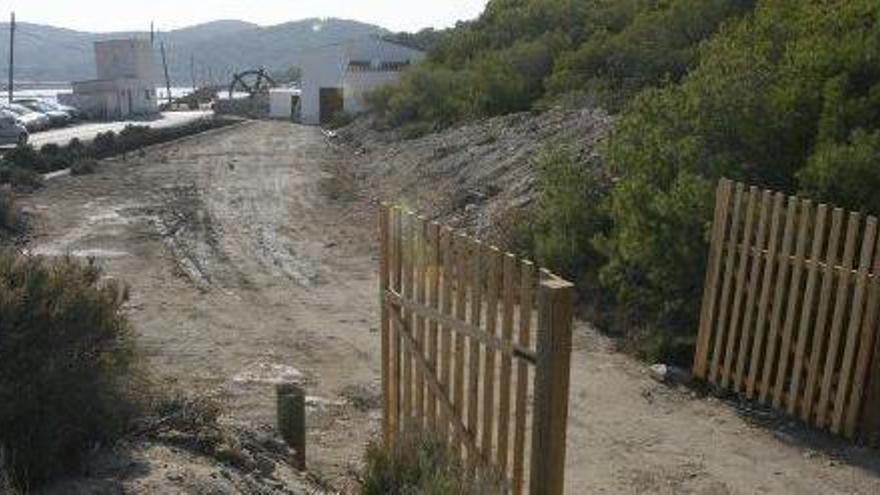 Terrenos allanados, presuntamente con una retroexcavadora, muy cerca de la playa de es Cavallet.