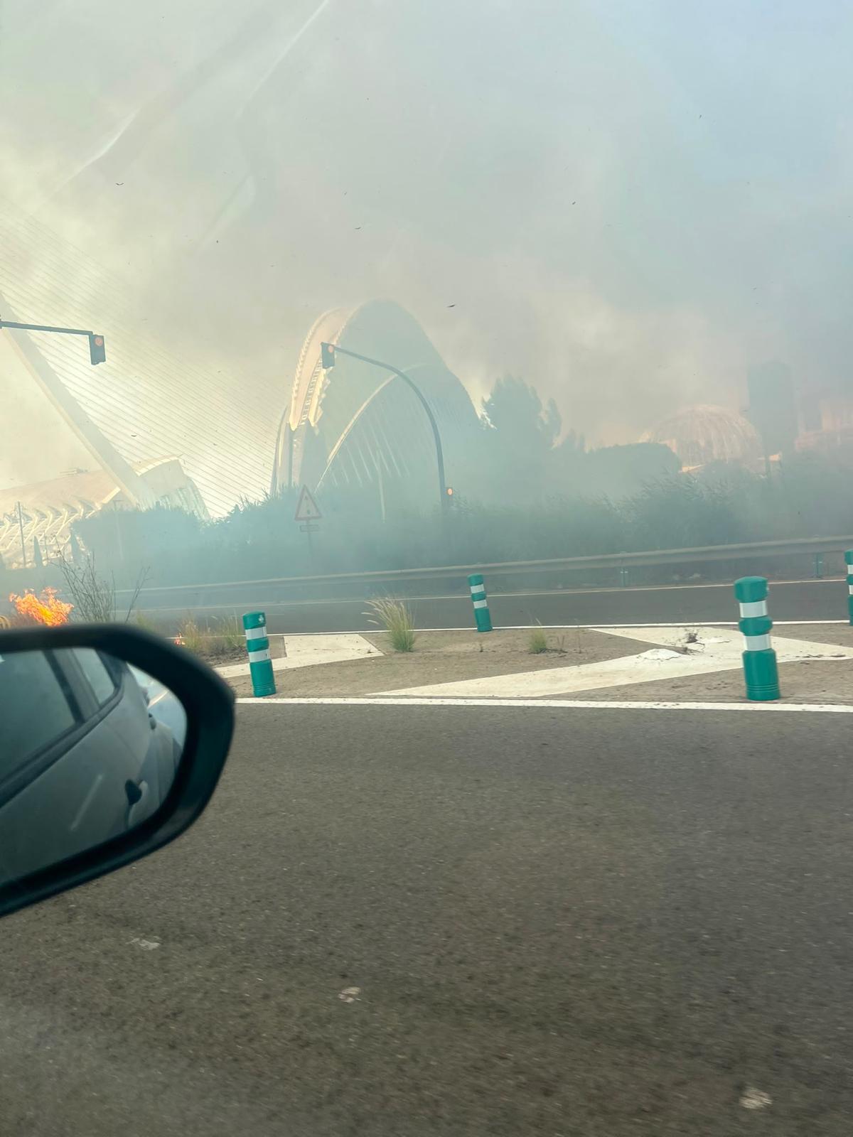 Un aparatoso incendio junto al Oceanogràfic y la autovía del Saler obliga a cortar el tráfico de entrada y salida a la ciudad