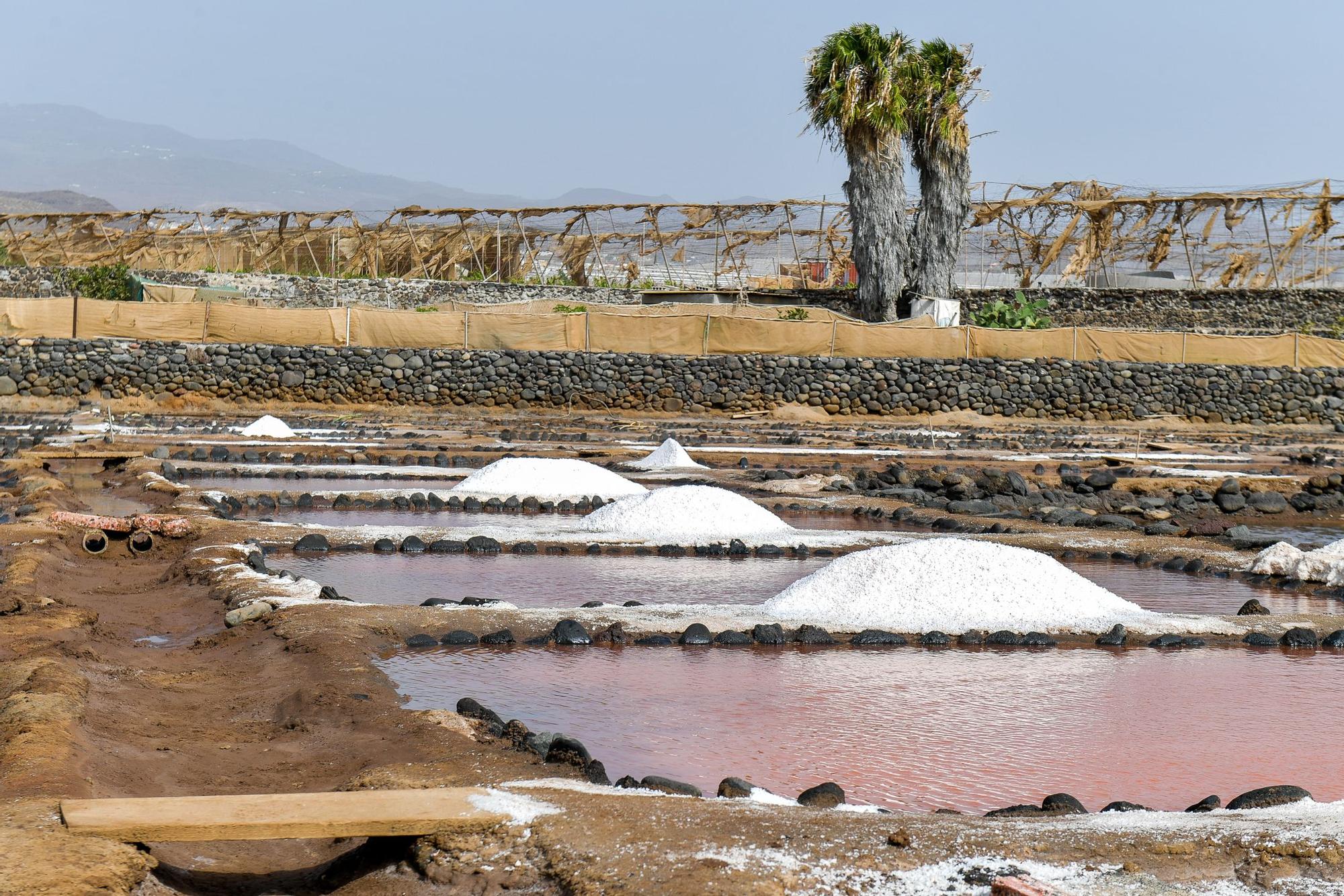 Salinas de Vargas