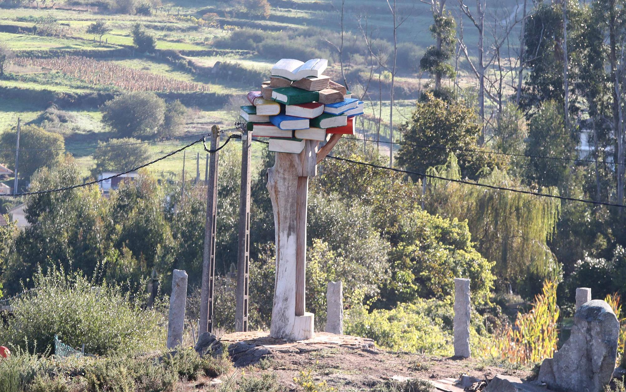 La reforestación de Chandebrito es más que una realidad cinco años después de la tragedia