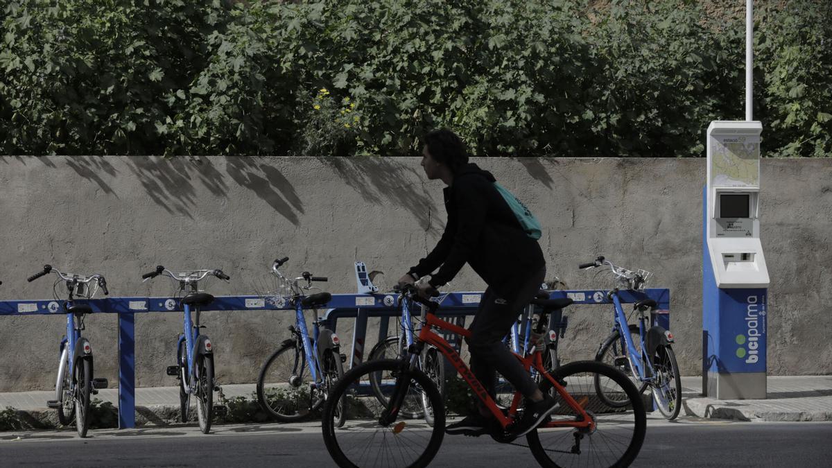 Una imagen de bicicletas aparcadas en Palma.