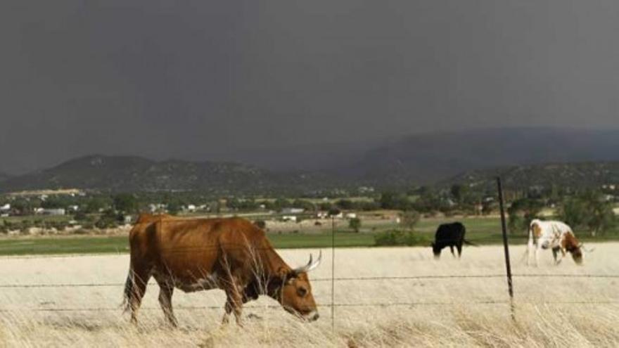 Inmenso incendio en Arizona