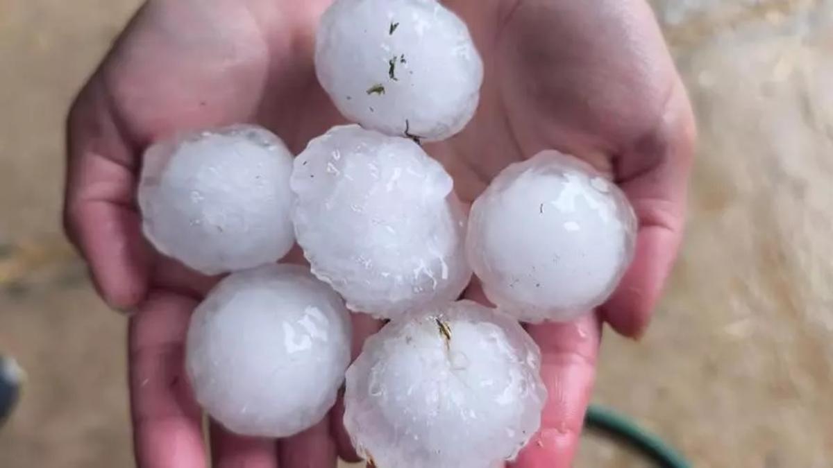 Granizo de grandes dimensiones caído en una tormenta en España.