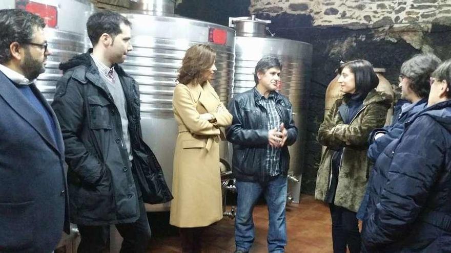 Visita de la conselleira a una de las bodegas de O Ribeiro. // FdV