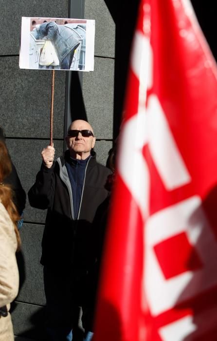 Cientos de personas  reclaman en Asturias una subida de las pensiones