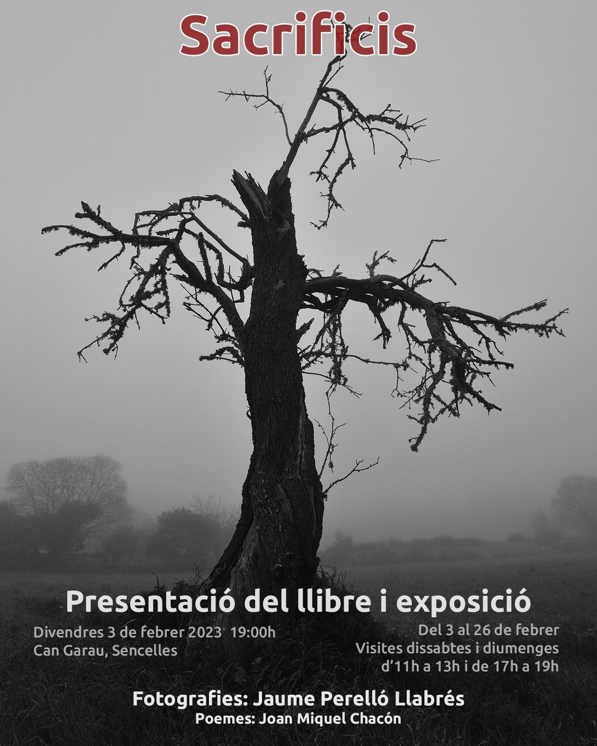 'Sacrificis', el "drama visual" de la pérdida del almendro