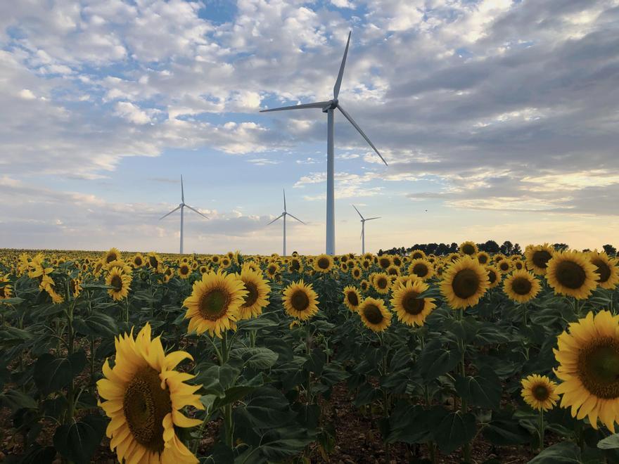 Una simbiosis entre las energías renovables y el sector primario