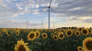 iberdrola y biodiversidad