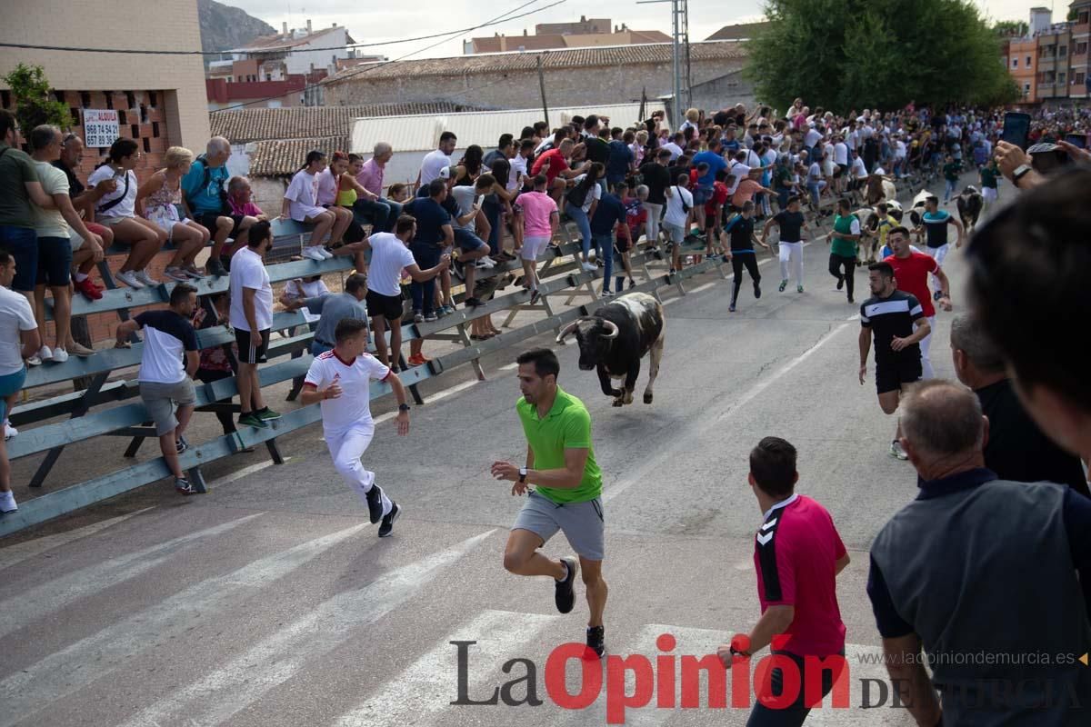 Primer encierro de la Feria del Arroz de Calasparra