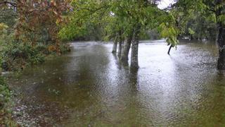 El Tera se desborda en Ribadelago con 140 litros de lluvia en 48 horas