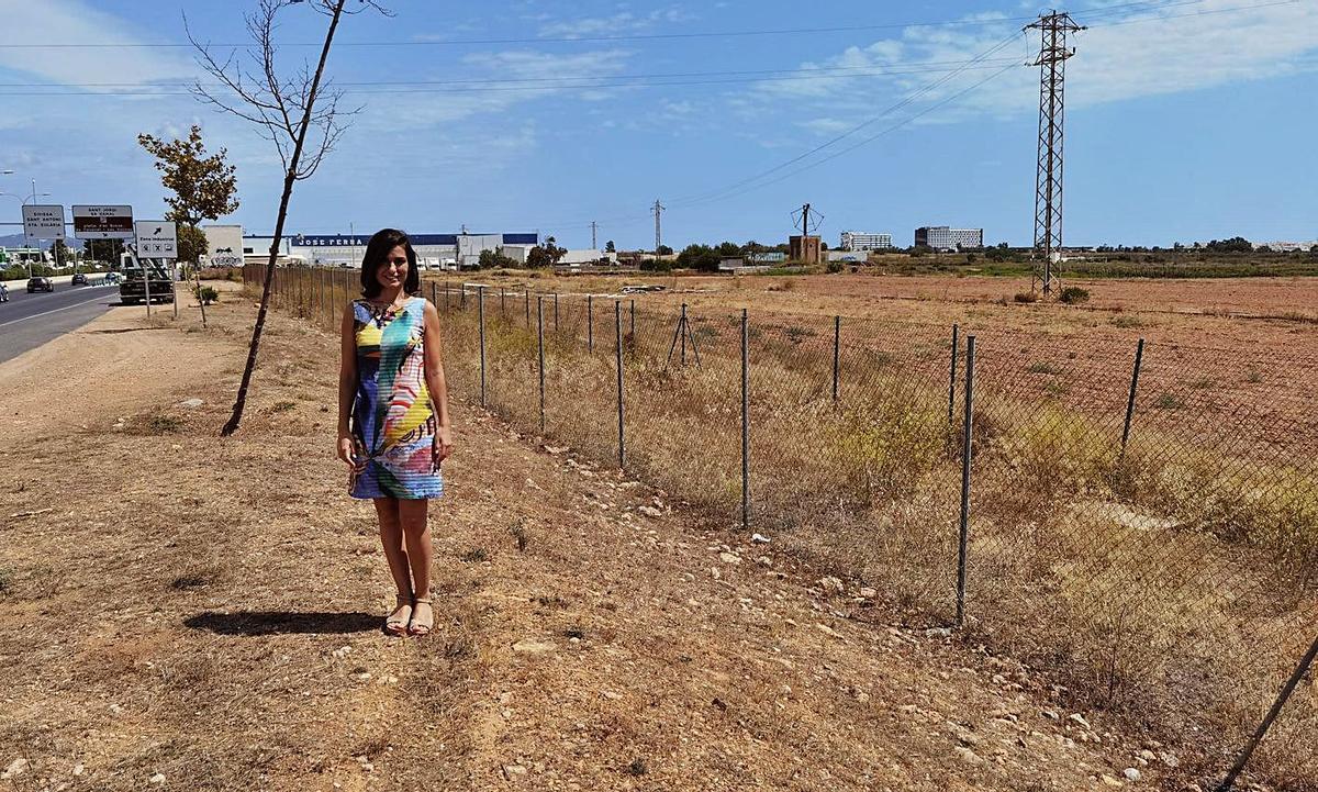 El Consell fuerza la retirada de otras seis vallas ilegales con sanciones coercitivas