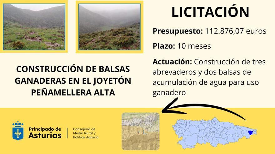 Medio Rural licita por 112.800 euros la construcción de tres abrevaderos y dos balsas ganaderas en Peñamellera Alta