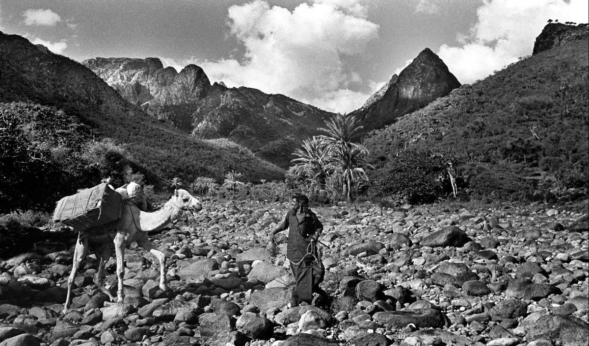 Socotra - Jordi Esteva
