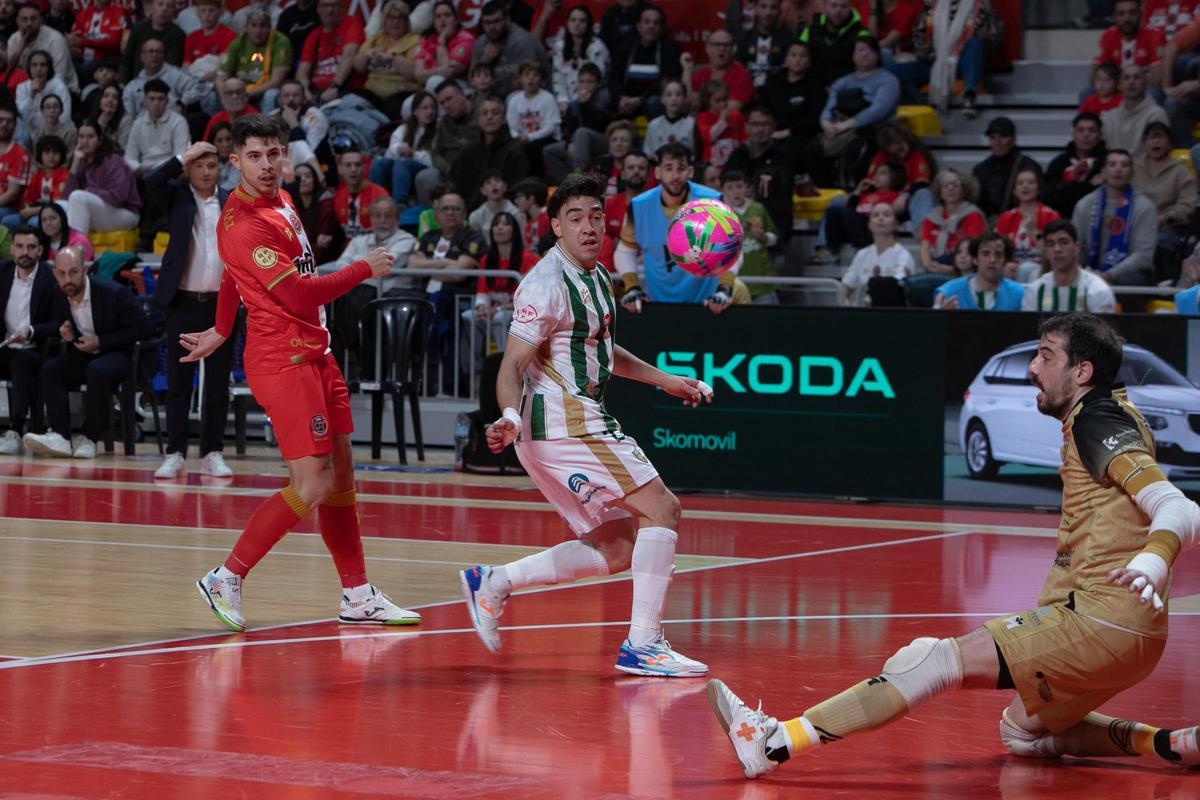 Las imágenes de la derrota de Jimbee Cartagena frente a Córdoba Las imágenes de la derrota de Jimbee Cartagena frente a Córdoba