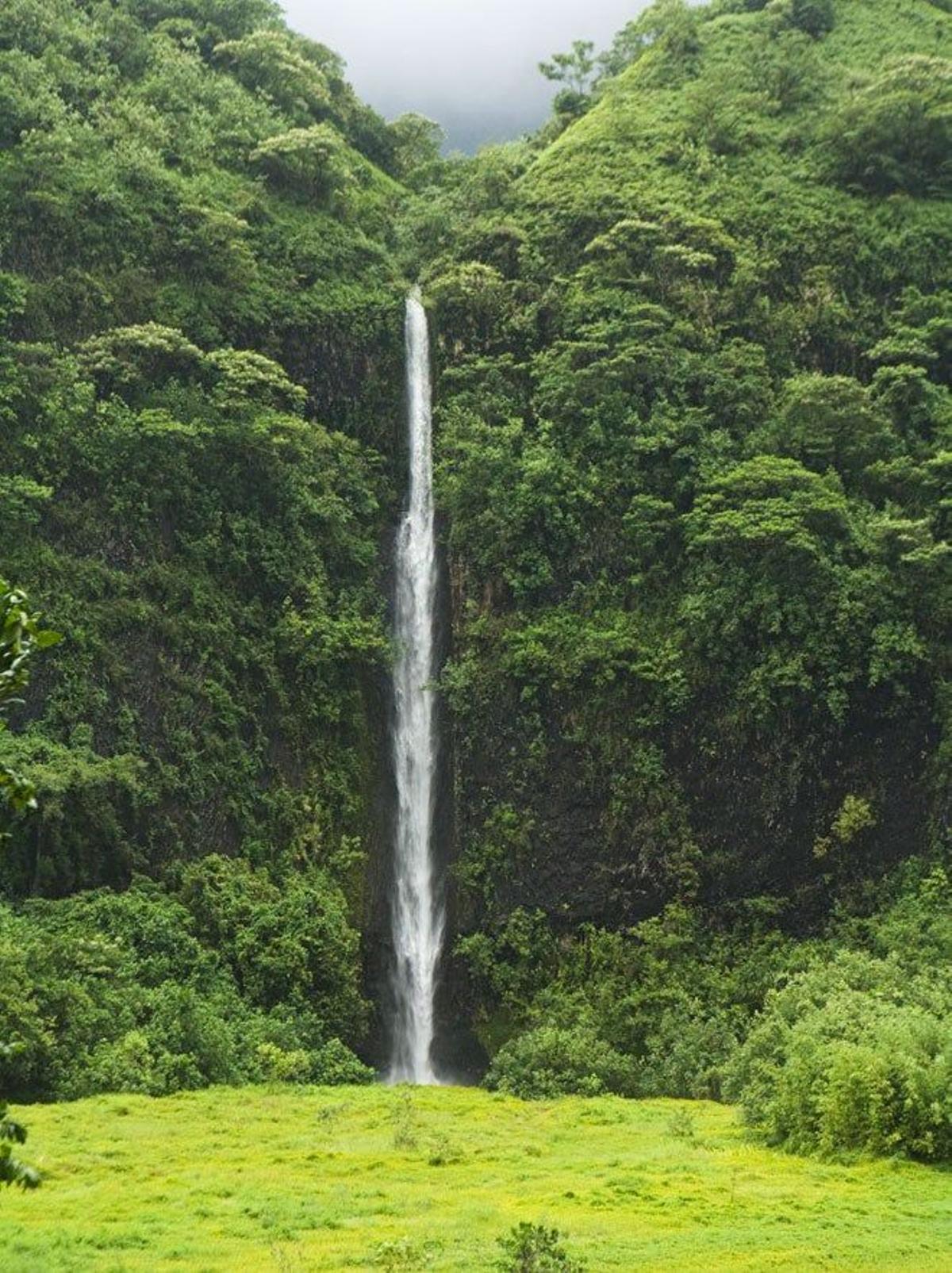 La cascada de Vaihaiuru se forma en el valle del río Papenoo, en Tahití.