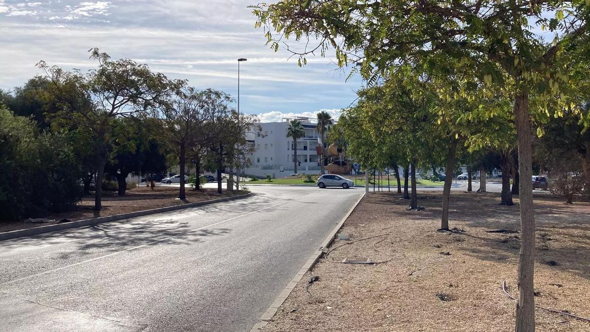 Aspecto de la zona sin urbanizar del sector de Villa Amalia