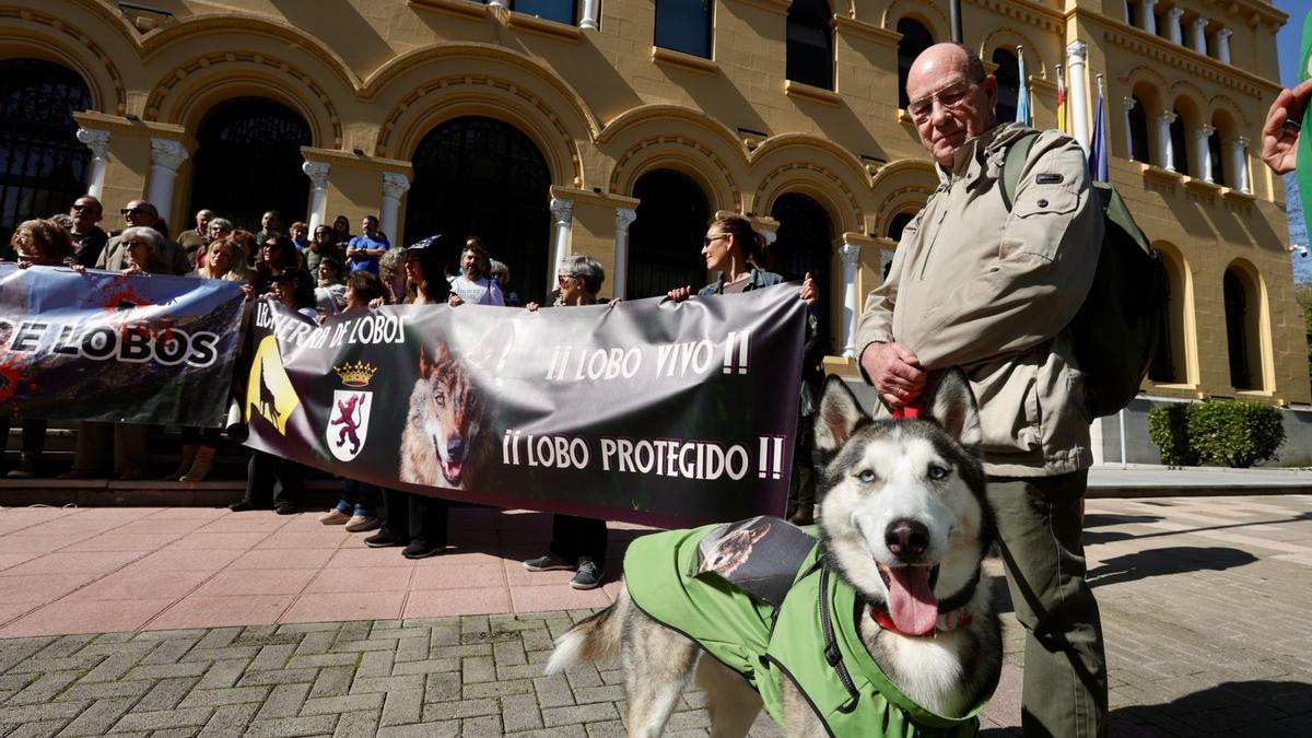 Así fue la manifestación en contra de la ley del lobo en Oviedo
