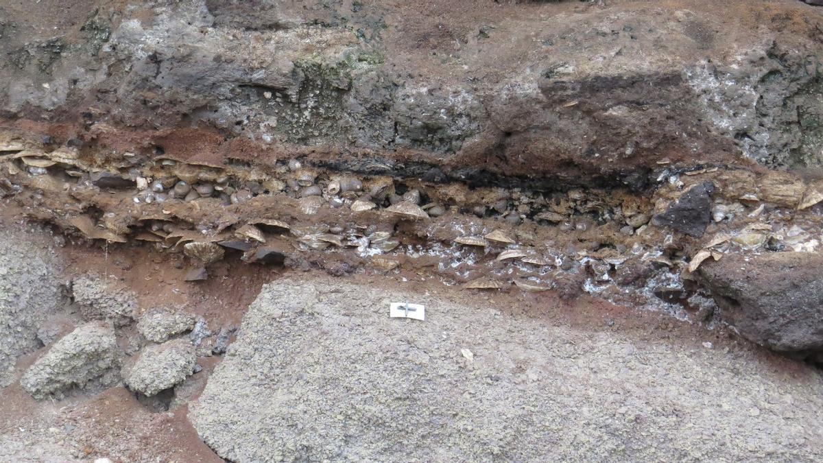 Trabajos en la Cueva de la Playa Chica de Sardina de Gáldar.